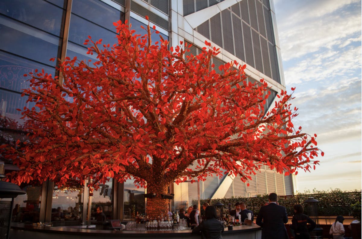 a tree in front of a building